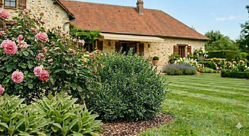 Avant/après jardin haute qualité — Taille buissons — Brie-Comte-Robert