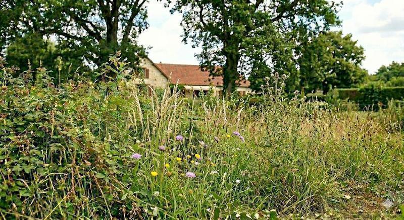 Avant/après jardin haute qualité — Broussailles et souches — Melun