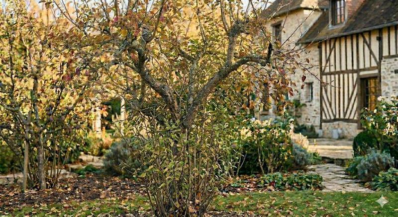 Avant/après jardin haute qualité — Arbres fruitiers — Combs-la-Ville