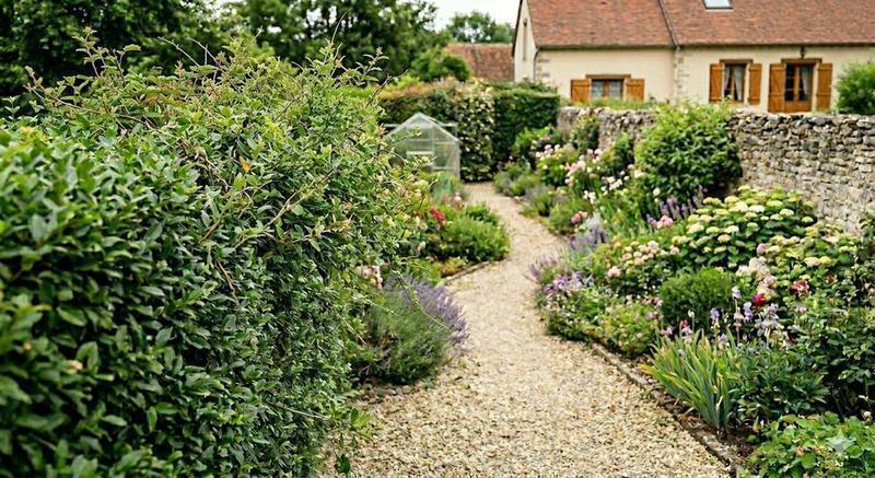 Avant/après jardin haute qualité — Haies 40 m — Yerres