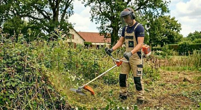 Débroussaillage terrain Seine-et-Marne (77)